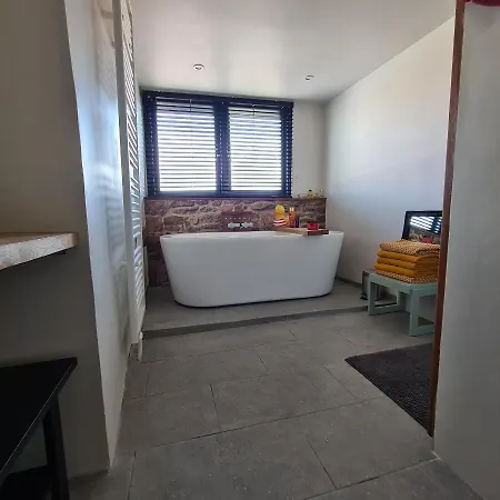 Park 43 Pensjonat Haarlem